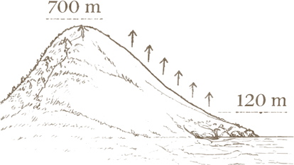 Vineyards at different altitudes